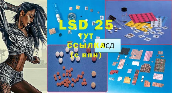 индика Алексин