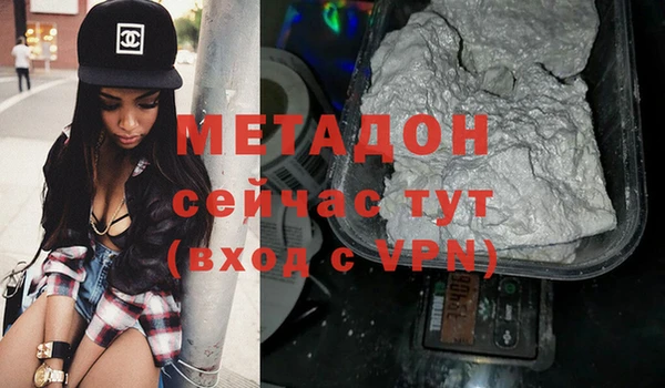 индика Алексин